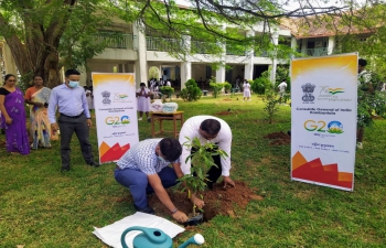Tree Plantation Programme at Tzu Chi National School, Hambantota